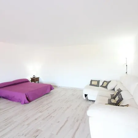 فيلة Maryvilla 19 *